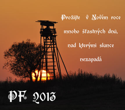 PF 2013